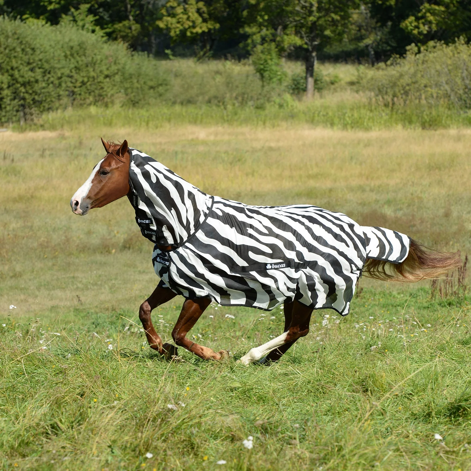 Miniatyr 1